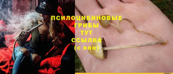 меф Мегион