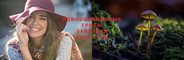 бутират Медвежьегорск