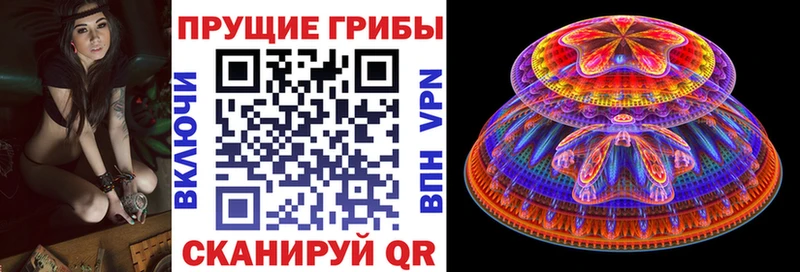 Галлюциногенные грибы мухоморы  MEGA tor  Пушкино 