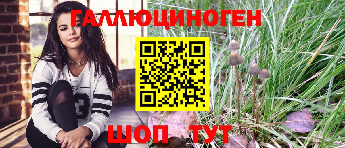 Пушкино  Псилоцибиновые грибы GOLDEN TEACHER  Вход с VPN  Псилоцибиновые грибы Psilocybine cubensis 